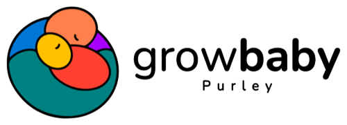 New Growbaby logo horizontal -